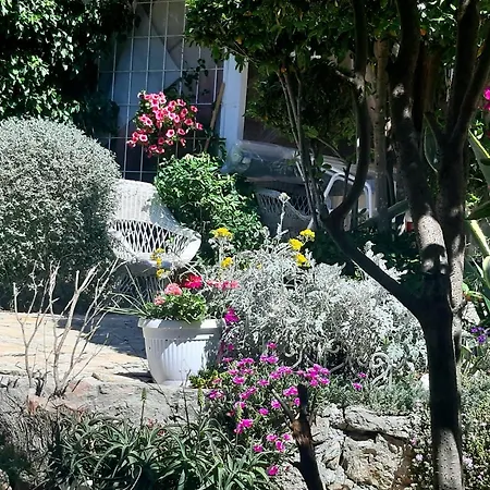 Lila Garden Apartment