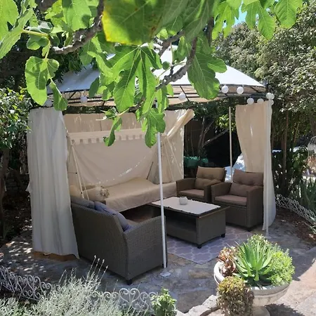 Lila Garden Bol