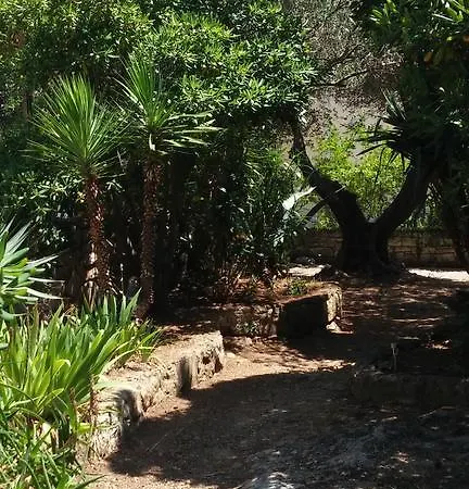 Lila Garden Bol