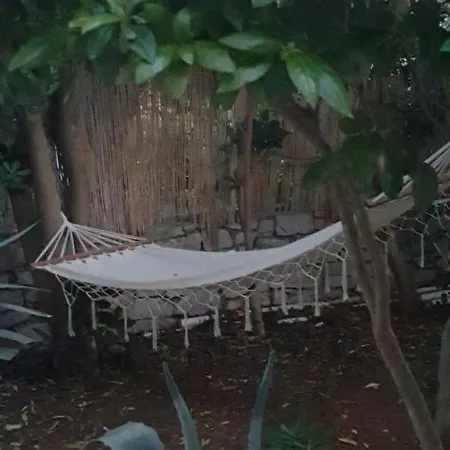 Lila Garden * Bol