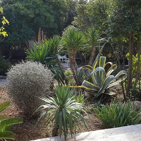 Lila Garden Apartment *